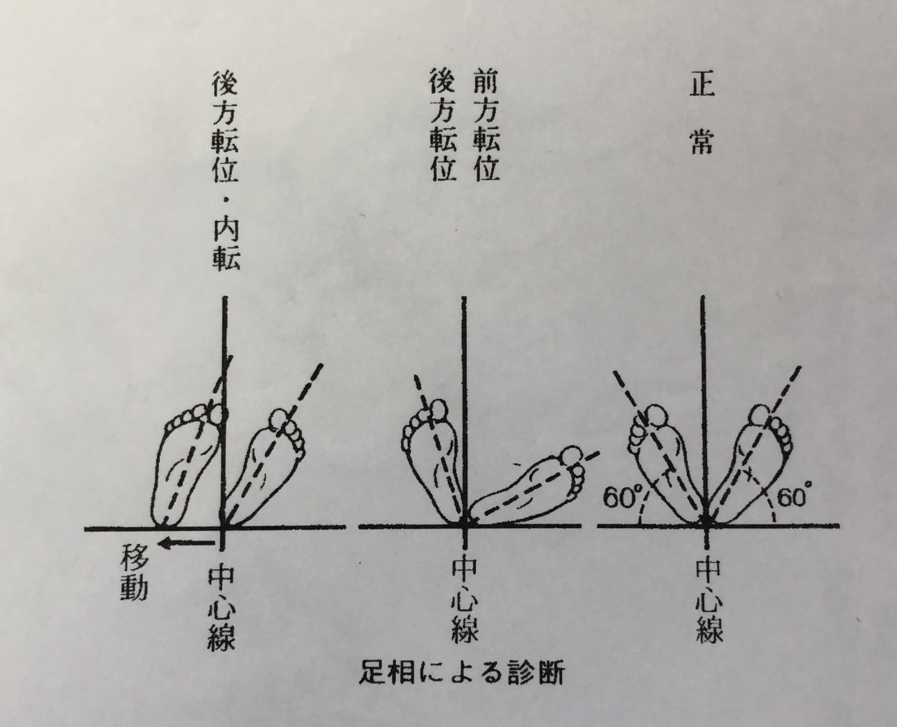 カイロプラクティック、整体の施術を受けるなら堺市の小川カイロ&ヘルスケアジムへ！