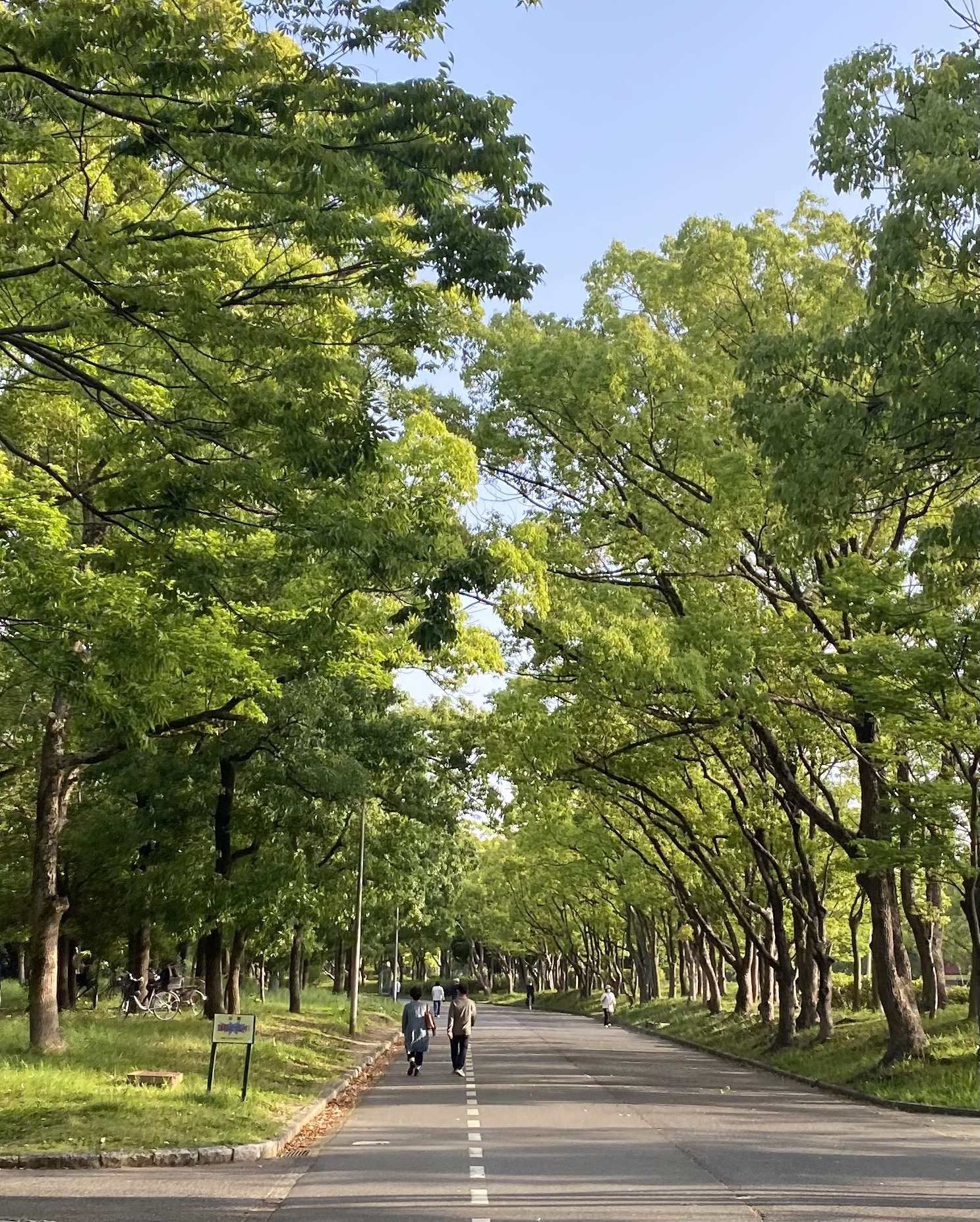 カイロプラクティック、整体の施術を受けるなら堺市の小川カイロ＆ヘルスケアジムへ！