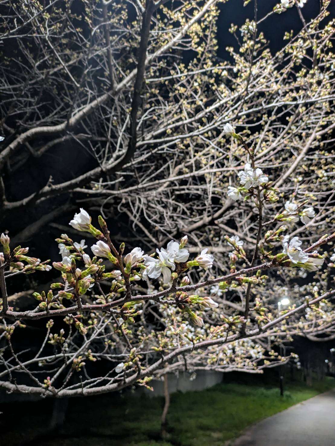 腰痛　膝痛　頭痛など身体のお悩みの方は　堺市　整体　カイロプラクティック　小川カイロ＆ヘルスケアジムへ！