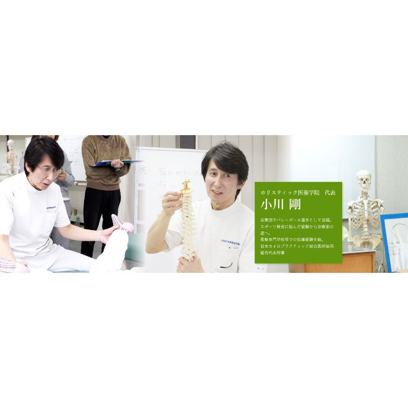 整体、カイロプラクティックを学びたいなら堺市に本校があるホリスティック医術学院へ！